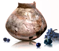 Wijnpot van 6000 jaar oud.